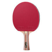 Ракетка  Atemi 3000 PRO Carbon ECO-Line,10058