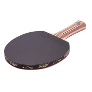 Ракетка  Atemi 3000 PRO Carbon ECO-Line,10058