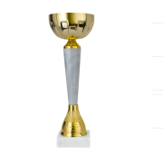 Кубок ДТ1 -  95 A h 25 см