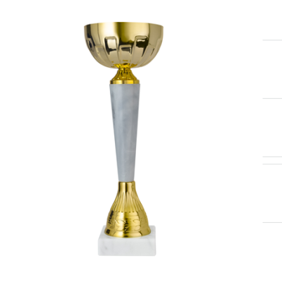 Кубок ДТ1 -  95 A h 25 см