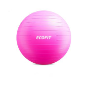 Посилений м'яч для фітнесу  Ecofit MD1225 55см/900 гр