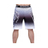 Шорти BERSERK SPORT Right Choice Odin Light Gray (L)