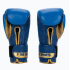 Боксерські рукавиці Leone GN220 DNA Blue 14 унцій