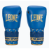Боксерські рукавиці Leone GN220 DNA Blue 14 унцій