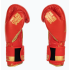 Боксерські рукавиці Leone GN220 DNA Red 14 унцій