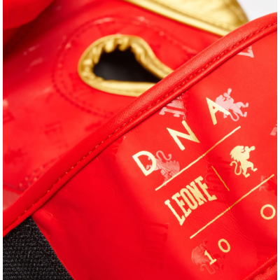 Боксерські рукавиці Leone GN220 DNA Red 14 унцій