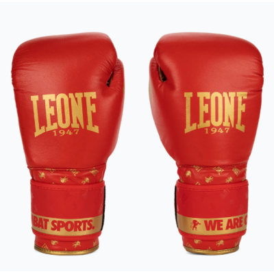 Боксерські рукавиці Leone GN220 DNA Red 14 унцій