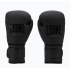 Боксерські рукавиці Leone GN059 Black/White 10 унцій