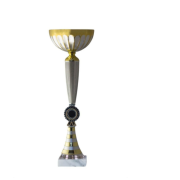 Кубок ДТ2 - 176 C h 33,5 см