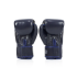 Боксерські рукавиці Fairtex BGV1 Nation Print Blue 14 унцій
