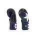 Боксерські рукавиці Fairtex BGV1 Nation Print Blue 14 унцій
