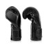 Боксерські рукавиці Fairtex BGV14SB Black 14 унцій