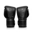 Боксерські рукавиці Fairtex BGV14SB Black 14 унцій