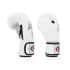 Боксерські рукавиці Fairtex BGV1 White 12 унцій