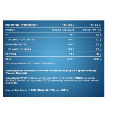 IronMaxx 100% Whey Protein - 500 г (пакет) - Чорничний чізкейк