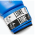 Боксерські рукавиці Leone GN208 ICONIC Blue 10 унцій
