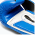Боксерські рукавиці Leone GN208 ICONIC Blue 10 унцій