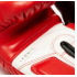 Боксерські рукавиці Leone GN208 ICONIC Red 10 унцій