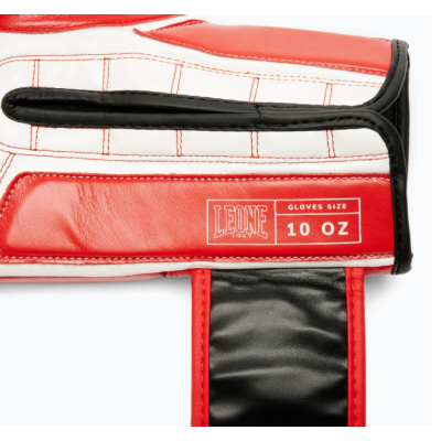 Боксерські рукавиці Leone GN208 ICONIC Red 10 унцій