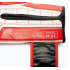 Боксерські рукавиці Leone GN208 ICONIC Red 10 унцій