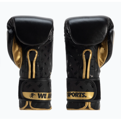 Боксерські рукавиці Leone GN220 DNA Black 12 унцій