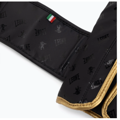 Боксерські рукавиці Leone GN220 DNA Black 12 унцій