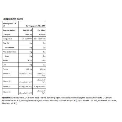 AMIX L-Carnitine 100.000 мг CarniZone – 1000 мл – зеленое яблоко