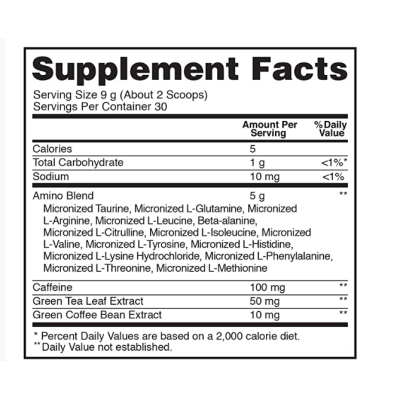 ON Essential Amino Energy 270г - blueberry lemon