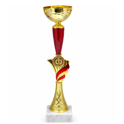 Кубок ДТ1 -  71 B h 31 см