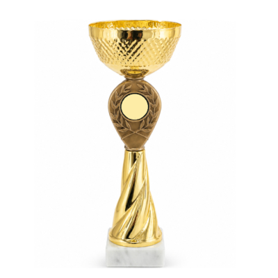 Кубок ДТ1 -  65 A h 25 см