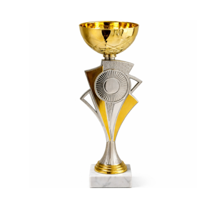 Кубок ДТ1 -  66 A h 24.5 см