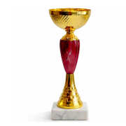 Кубок ДТ1 -  67 B h 22.5 см