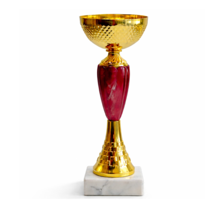 Кубок ДТ1 -  67 A h 25.5 см