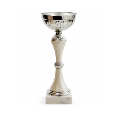 Кубок ДТ1 -  68 A h 27,5 см