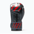 Боксерські рукавиці Leone GN004 PRIMAL INSTINCT Black 12 унцій