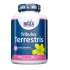 HL Tribulus Terrestris 1000 mg - 100 таб