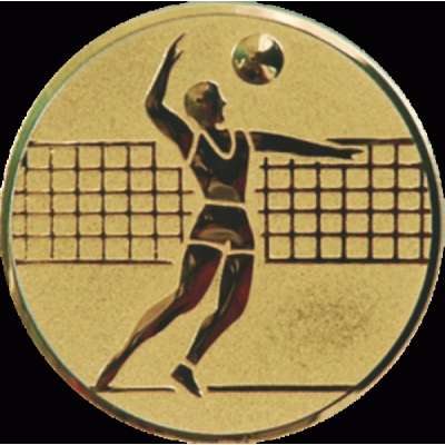 Жетон Волейбол A6 (25, Волейбол)