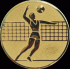Жетон Волейбол A6 (25, Волейбол)