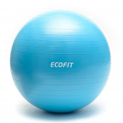 М'яч для фітнесу Ecofit MD1225 65см / 1100 гр