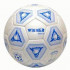  Мяч футбольный EACLE №5.4 натур. кожа