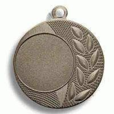 Медаль Д 541 д. 40 мм (02 серебро)