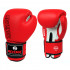 Боксерские перчатки PU  EV-10-1179  12унций