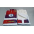 Перчатки вратарские юниорские Клубные FB-0029-12 CHELSEA (PVC, р-р 7, красный-синий) 