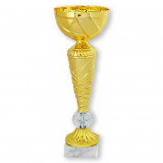 Кубок ДТ1 -129 С (h 21 см)