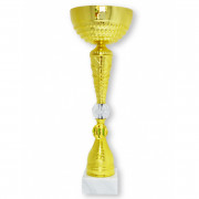 Кубок ДТ2 -225 В(33см)