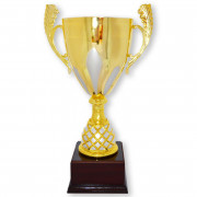 Кубок ДТ3 -530 С (h 41cм)